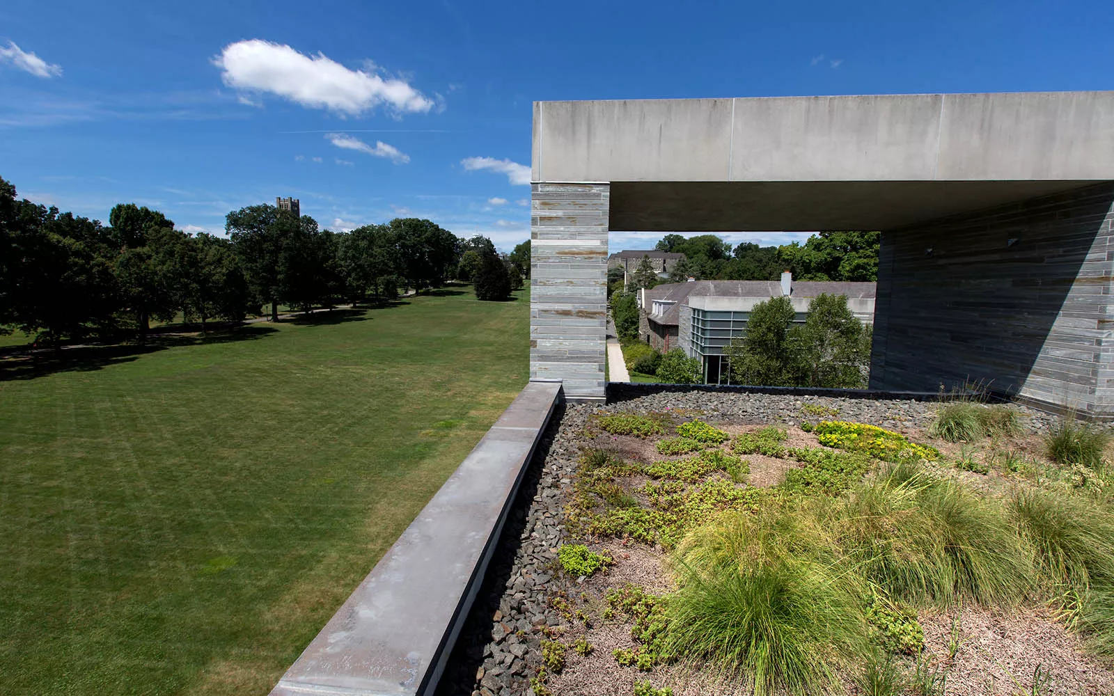 Roof of building with garden
