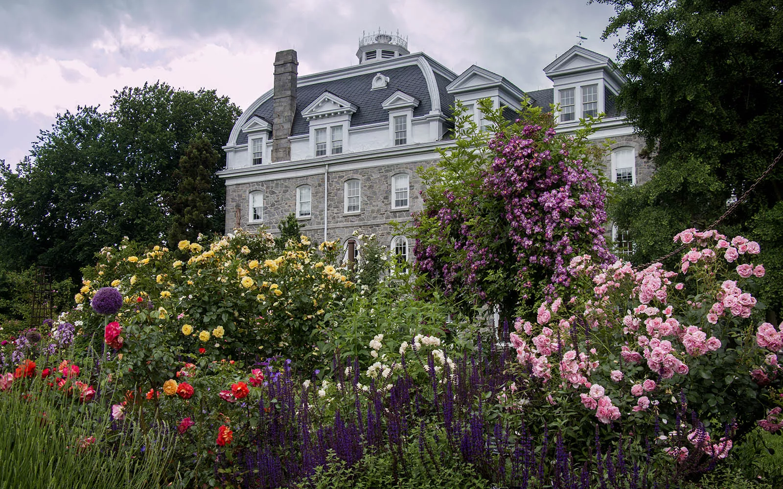 rose garden and parrish