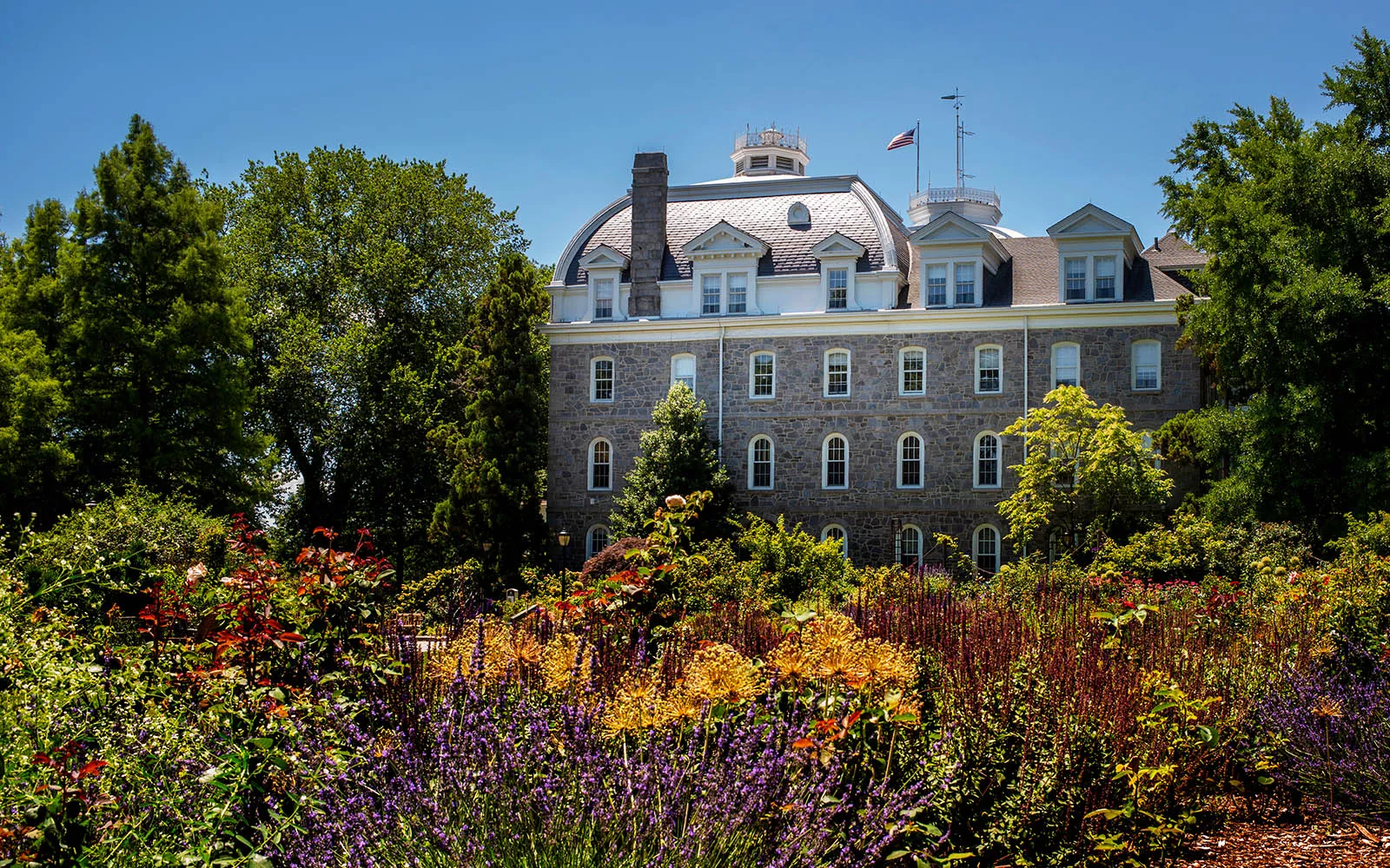 rose garden in bloom and parrish hall