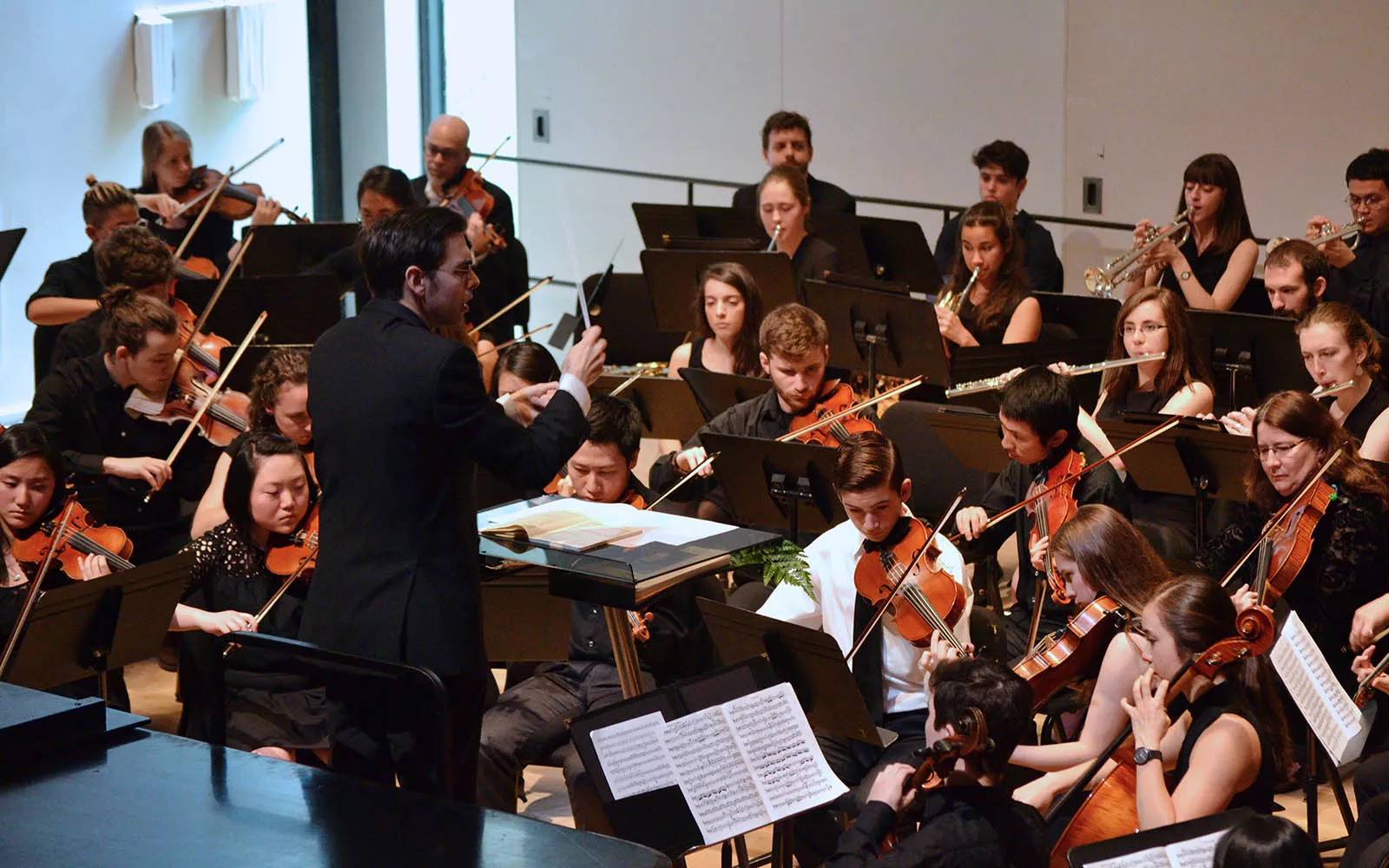 concert performance