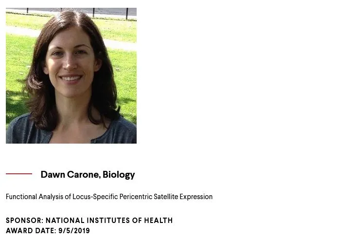 Dawn Carone grant information