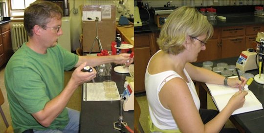 Two people working at a biology lab bench