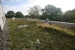 Green Roof