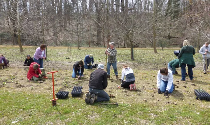 Planting in the Crum Woods