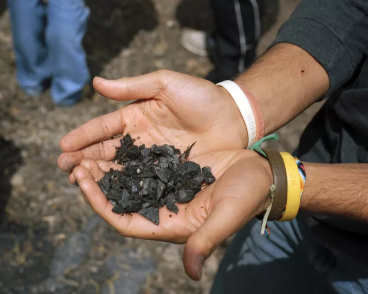 Coal in Hands