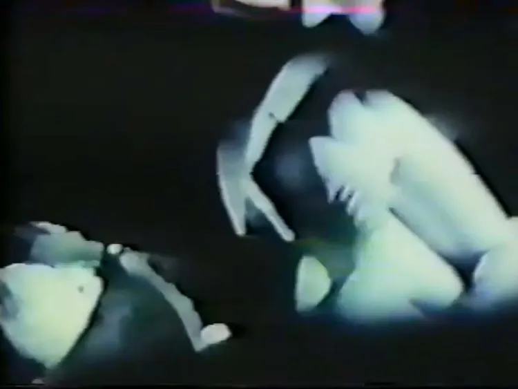 Low fi black, white, and blue still from Superstar a Karen Carpenter Story