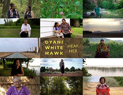 Dyani White Hawk exhibition catalog cover