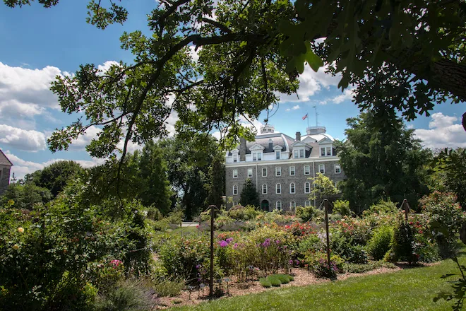 Dean Bond Rose Garden