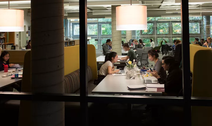 Students study in the Cornell Library