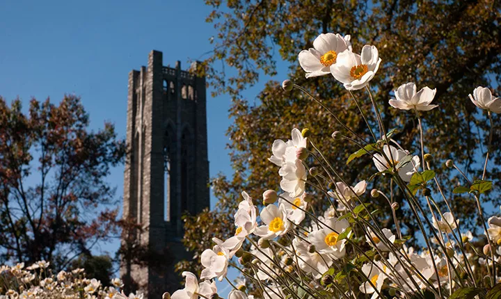 Clothier Tower behind flowers