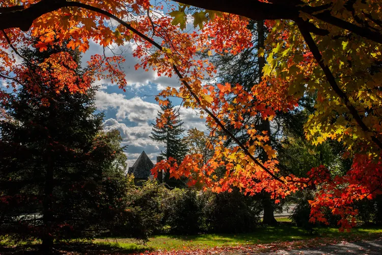 Fall foliage on campus of Swarthmore College
