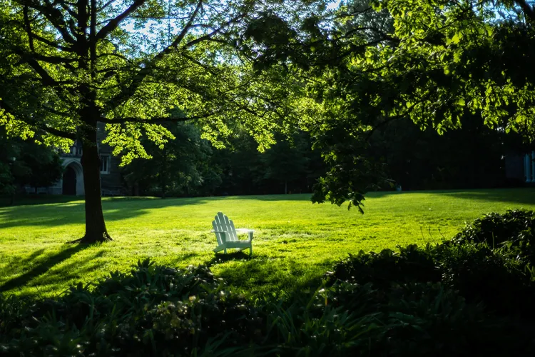 White Adirondack chair on Parrish Beach