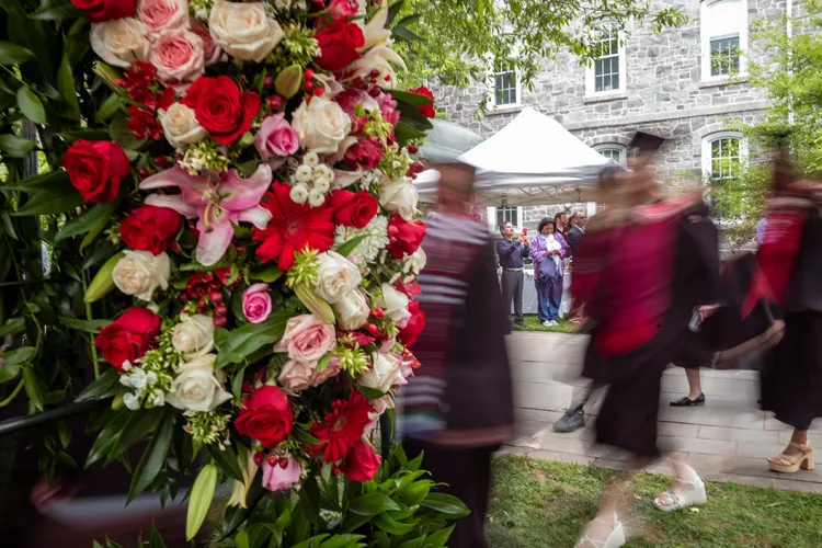 Roses in bloom in foreground as grads in cap and gown walk by in background
