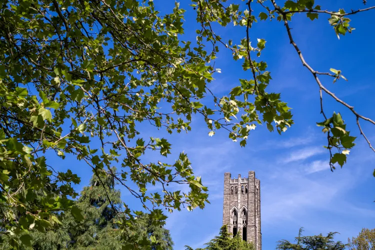 Clothier belltower in background with green leaves in foreground