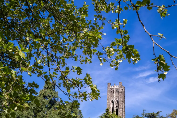 Clothier Bell tower in background, spring bloom in foreground