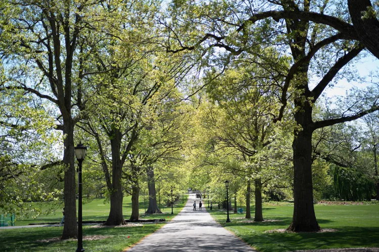 Magill Walk on a clear day
