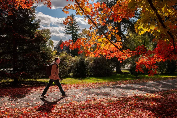 Student walks by changing leaves in fall