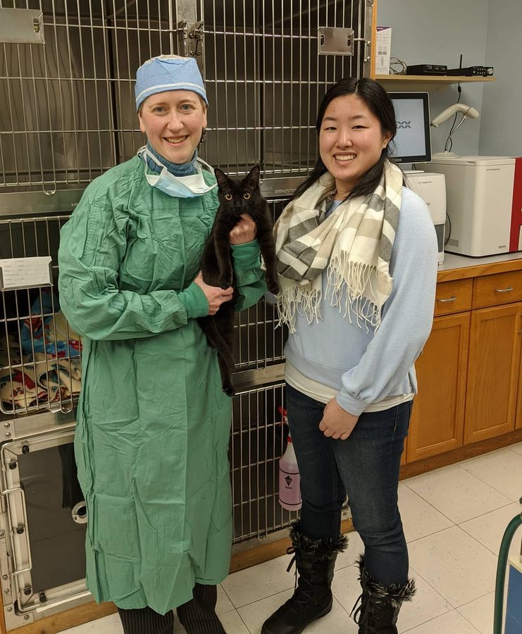 Johanna Lee '23 shadowed Anne Richards '97 at The Cat Doctor of Bedford, Mass.