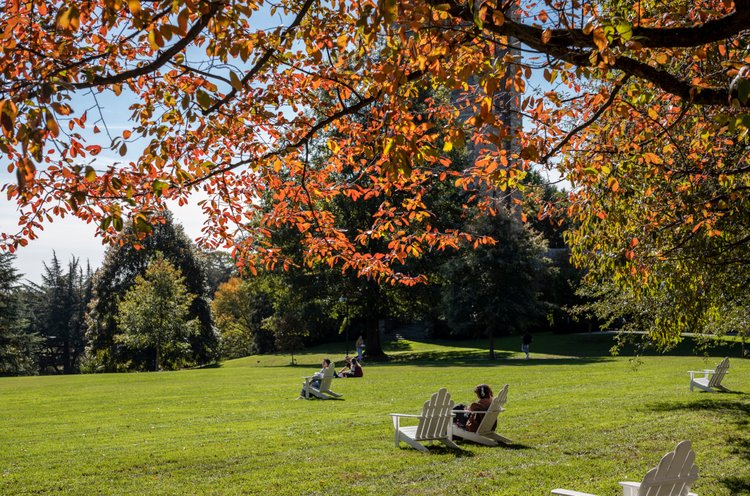 Student sit outdoors on lawn in fall