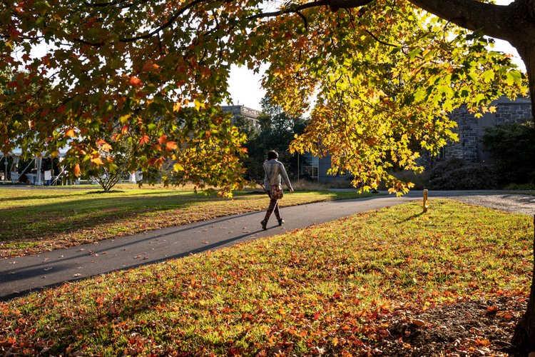 Person walks in fall
