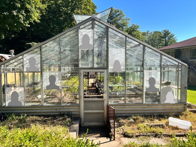 Mockup of greenhouse with portraits on glass