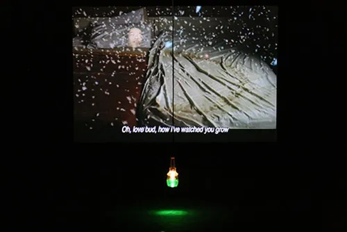Black screen with text "Oh, love bud, how I've watched you grow"