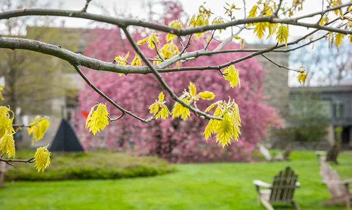 Science Center in the Spring
