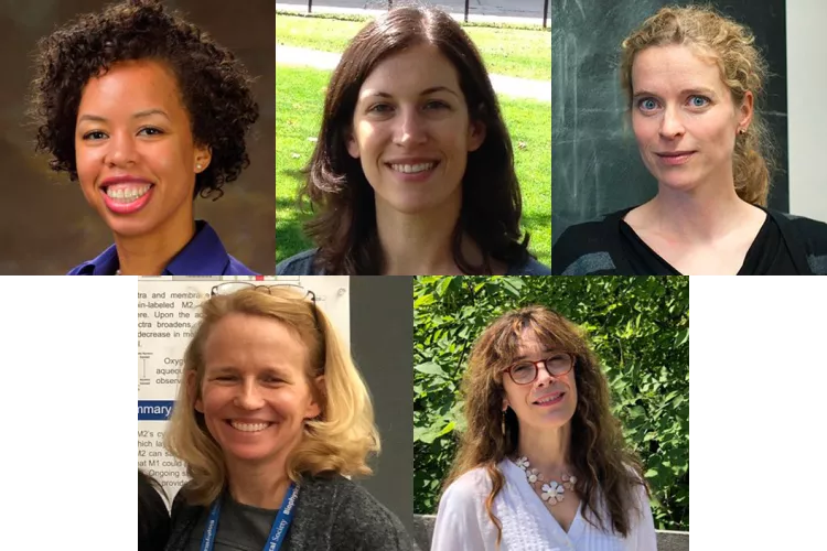 From top left, Cacey Bester, Dawn Carone, Eva Marie-Collins, Amy Graves, and Kathleen Howard