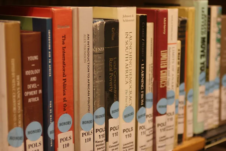 Line of books on library shelf