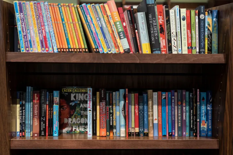 Bookshelf filled with paperback books