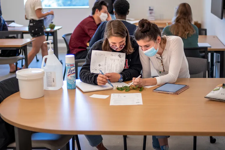 Students examine plant life in classroom