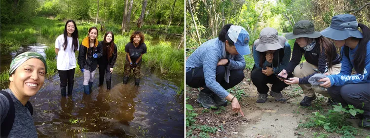 Biology teacher leads students in field research