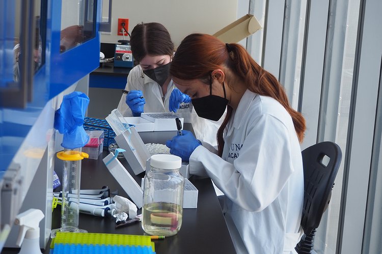 Two students wearing white coats and masks conduct research in lab while sitting