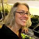 Jeanne Harris '86