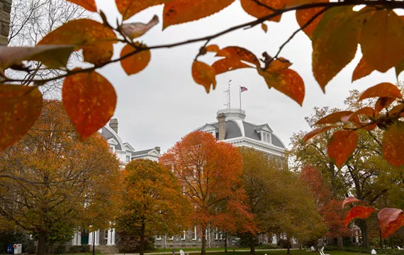 Fall Campus Scene