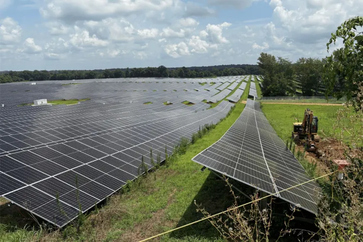 Solar panel array in field underneath blue sky