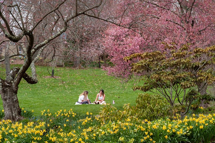 Students sit outside on grass as flowers bloom