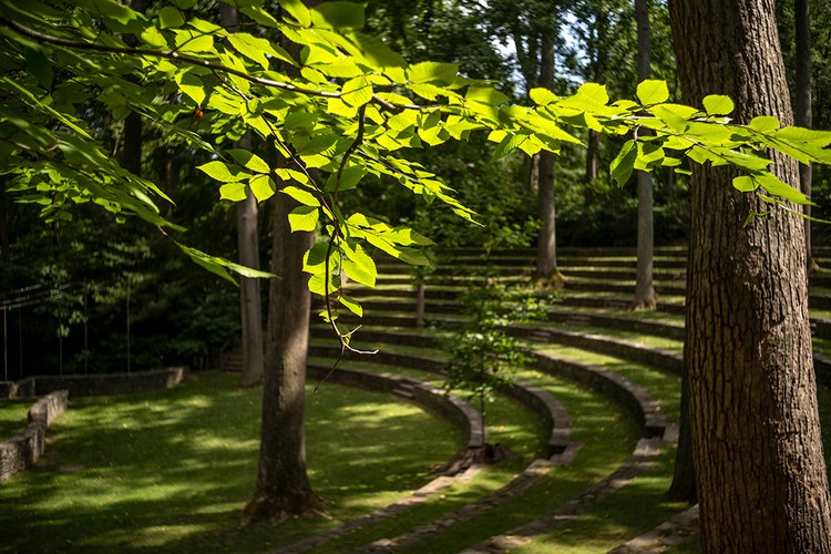 Outdoor amphitheater with leaves in full bloom