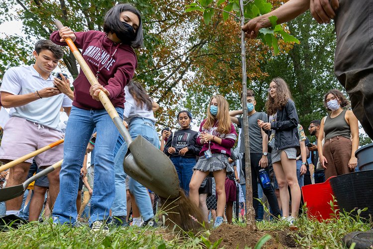 Students use shovels to dig soil and plant new tree