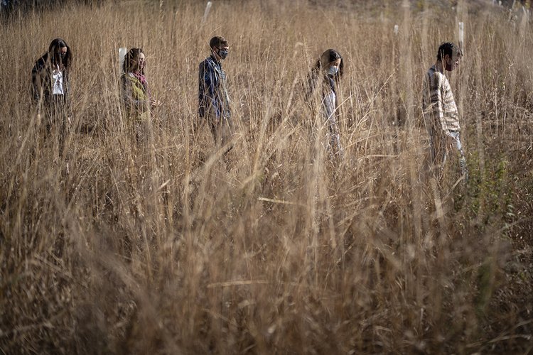 Students walk outside in tall grass