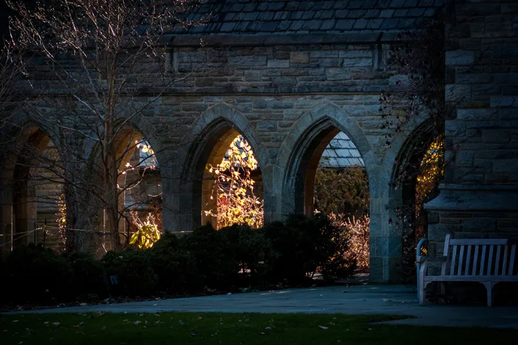 Outdoor arches framed in shadow during sunset
