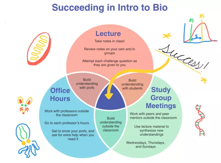 bio venn diagram