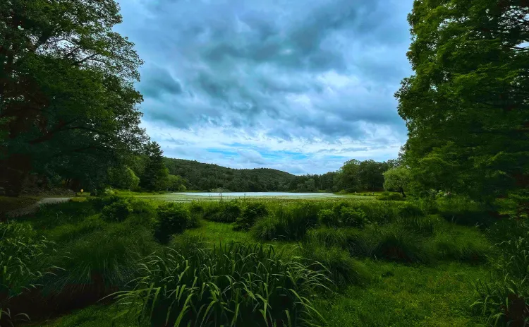 nature shot