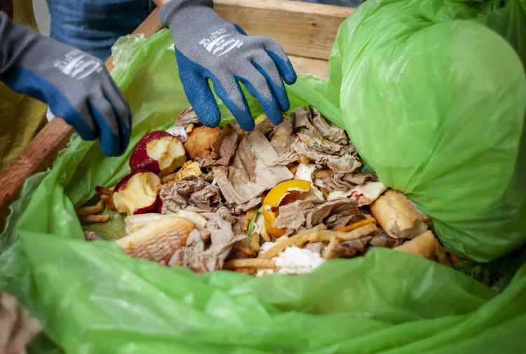 student sorting waste