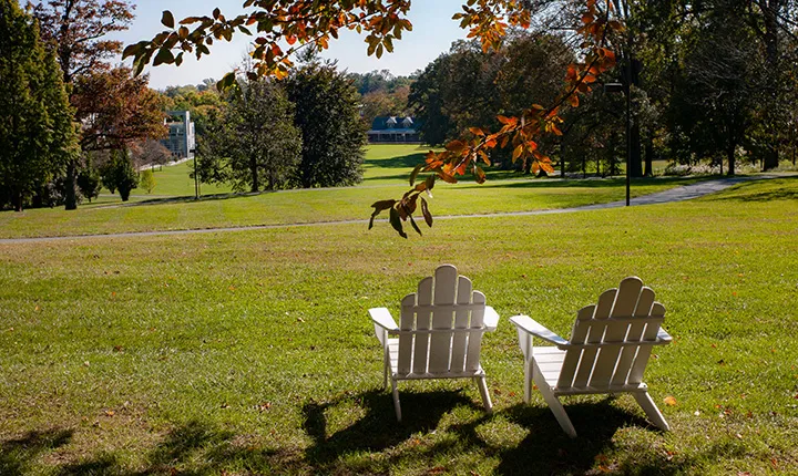 Chairs on Parrish beach overlooking Magill Walk