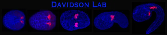 The Davidson Lab at Swarthmore College