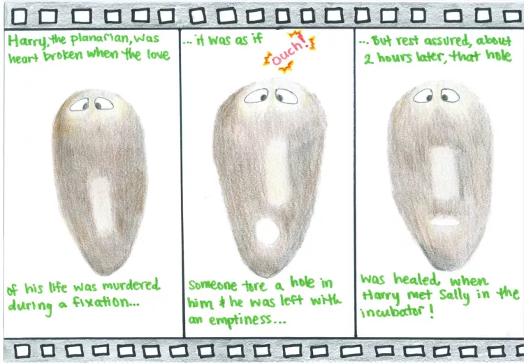 EM Collins planaria cartoon