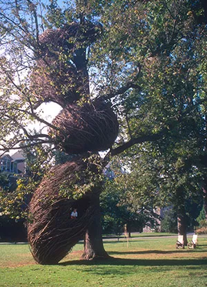Patrick Dougherty Installation
