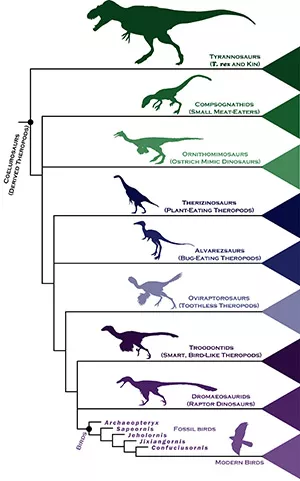 Dinosaur chart
