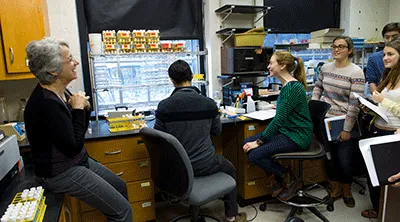 Kathy Siwicki laughs with her students in her lab